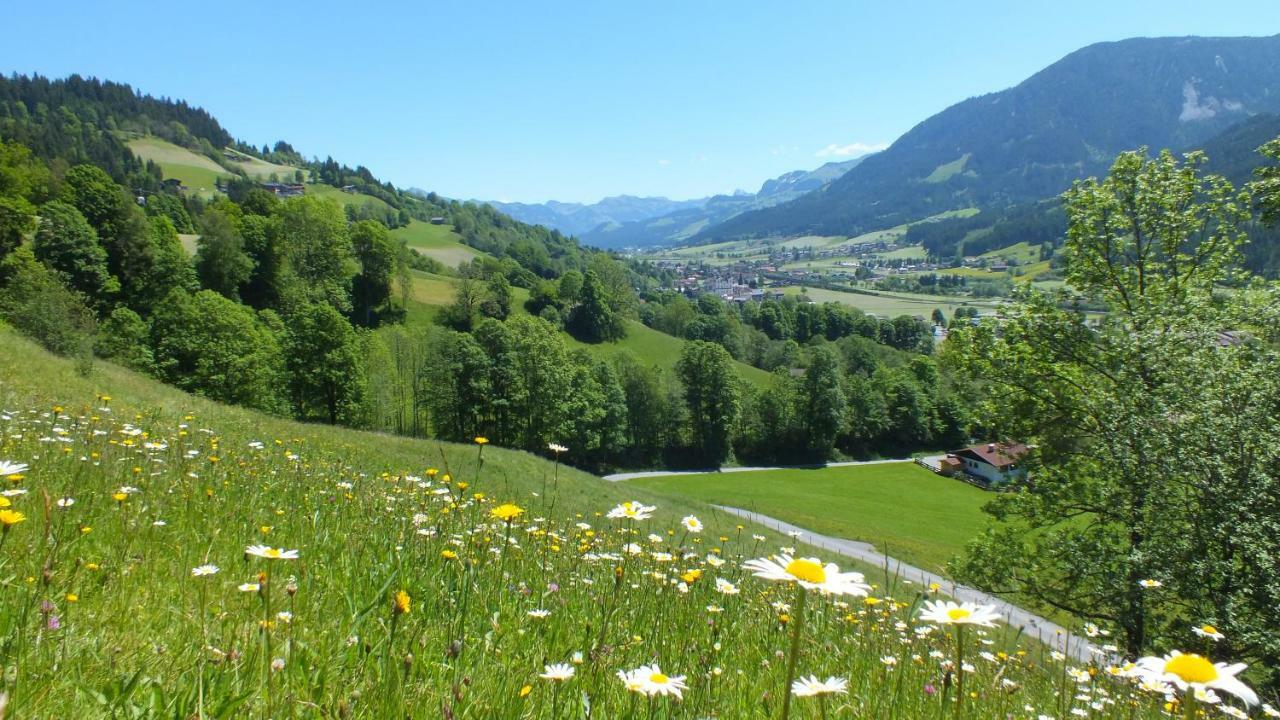 Franbichl Lägenhet Brixen im Thale Exteriör bild