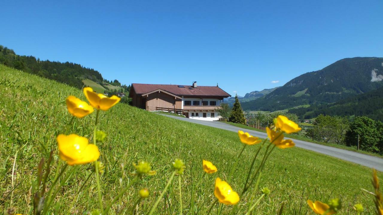 Franbichl Lägenhet Brixen im Thale Exteriör bild